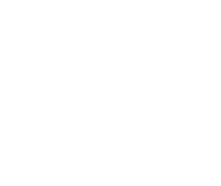 premier barns logo white